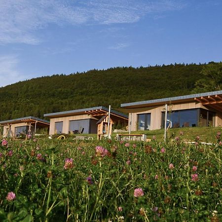 An Webers Stoag Villa Geisingen Buitenkant foto