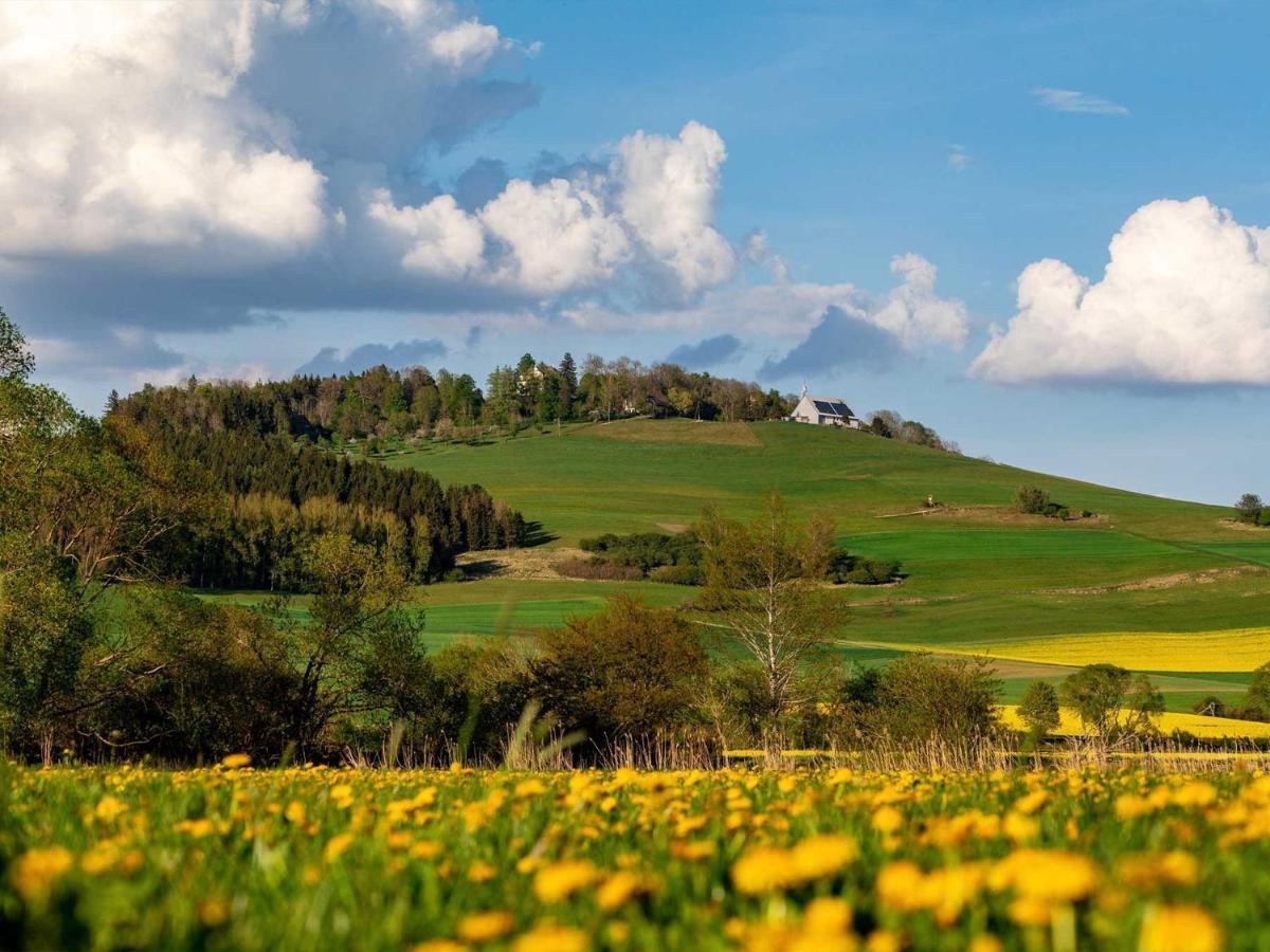 An Webers Stoag Villa Geisingen Buitenkant foto