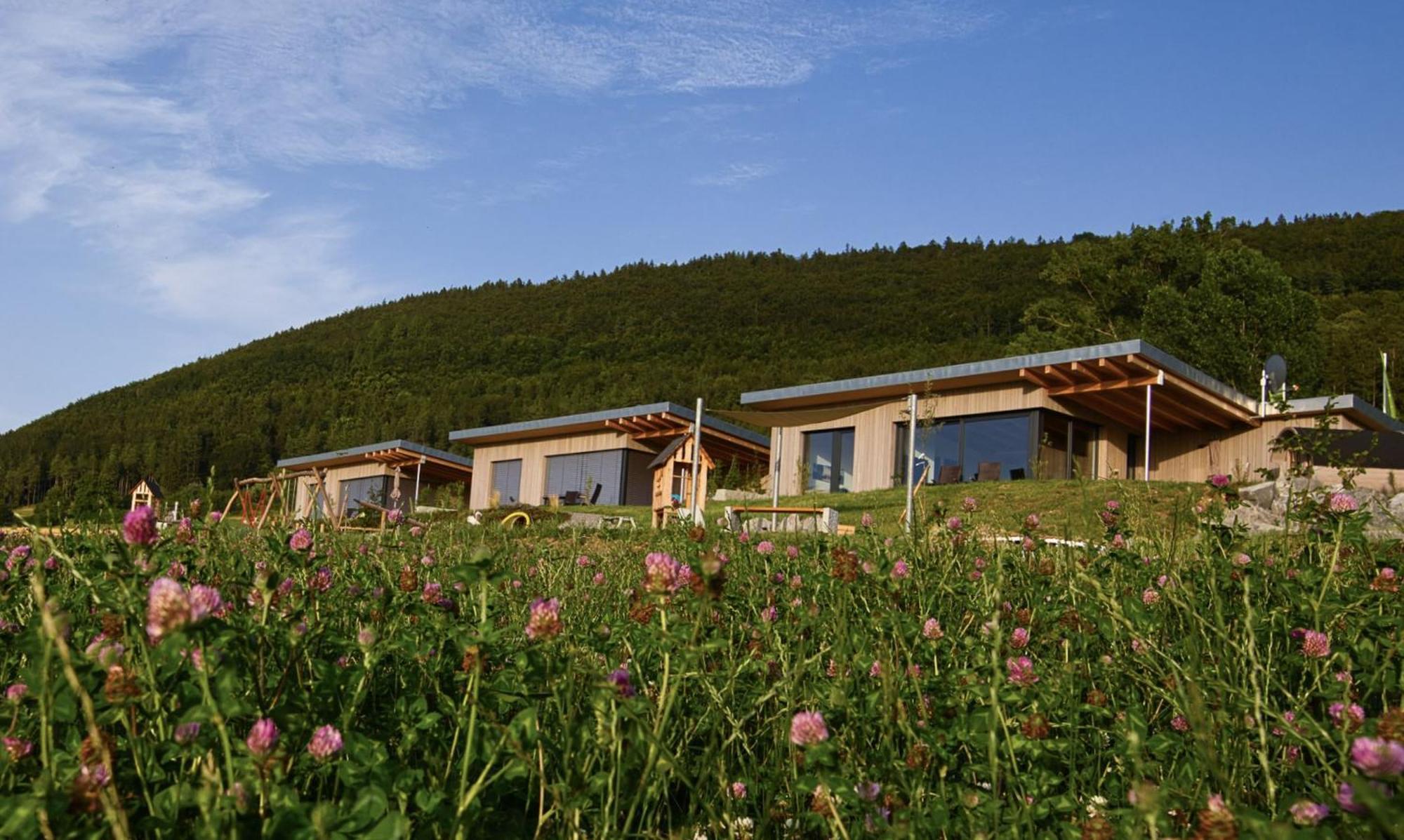 An Webers Stoag Villa Geisingen Buitenkant foto